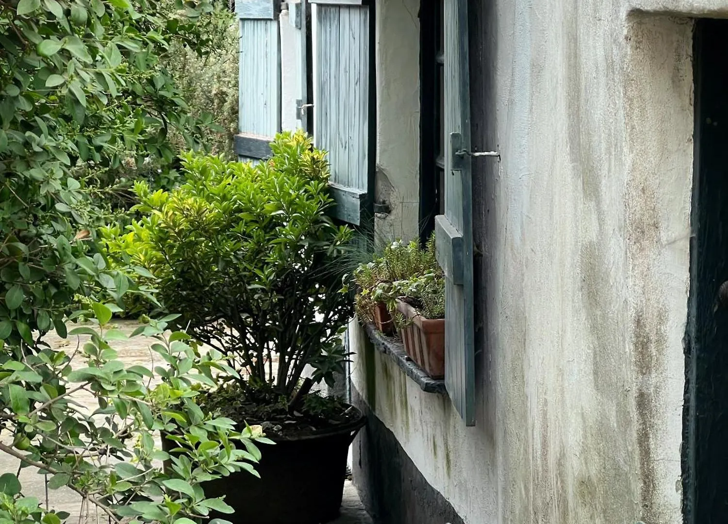 Vakantiestudio Duinhelm, Oostende - A Cosy Place By The Sea 0*, Ostend